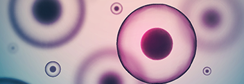 Life Sciences Life Sciences