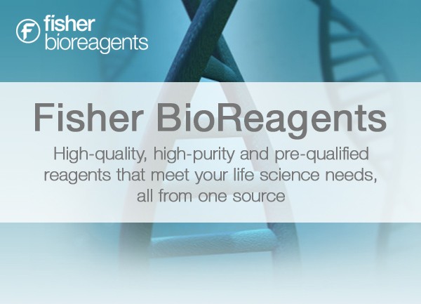 BioReagents mobile banner