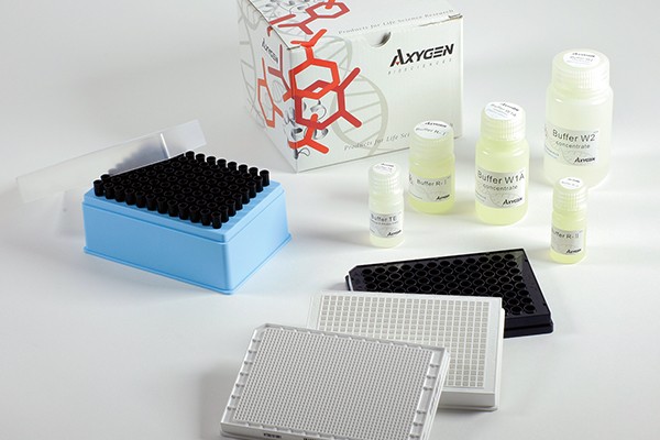 Analyser