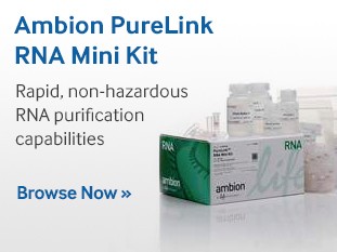 ambion-purelink-rna-mini-kit